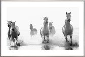JUNIQE - Poster met kunststof lijst Galloping Through the Surf -20x30