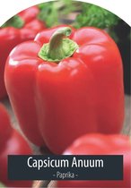 Paprika Zaden - Groentezaden - Capsicum Anuum - Inclusief Handleiding