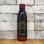 HARRY POTTER - Thermo Drink Fles 600ml