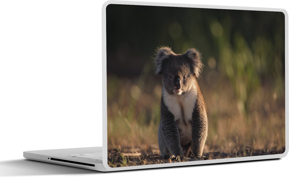 Laptop sticker - 14 inch - Koala - Zon - Dier - Kinderen - Jongens - Meisjes - 32x5x23x5cm - Laptopstickers - Laptop skin - Cover