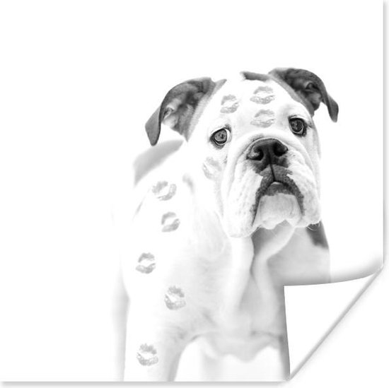 Poster Afbeelding van een hond die onder lip afdrukken zit - zwart wit - 30x30 cm | bol.com