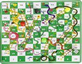 reisspel slangen en ladders spel 16,5 x 9 cm groen