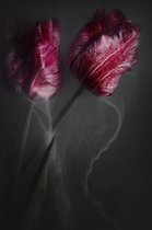 Smoking flowers xi – 90cm x 135cm - Fotokunst op PlexiglasⓇ incl. certificaat & garantie.