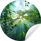 WallCircle - Muurstickers - Behangcirkel - Zonlicht schijnt op een grot in het regenwoud van Maleisië - 50x50 cm - Muurcirkel - Zelfklevend - Ronde Behangsticker