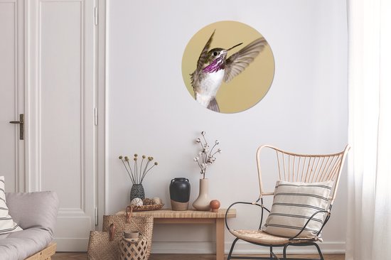 WallCircle - Stickers muraux - Cercle Papier Peint - Colibri - Vogel - Violet - 50x50 cm - Cercle Mural - Auto Adhésif - Autocollant Rond Papier Peint