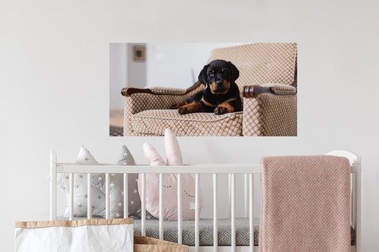 Stickers muraux - Film autocollant - Chiot Rottweiler mignon assis sur une chaise - 80x40 cm - Film adhésif - Stickers muraux chambre d'enfant - Papier peint autocollant - Papier peint autocollant - Film autocollant