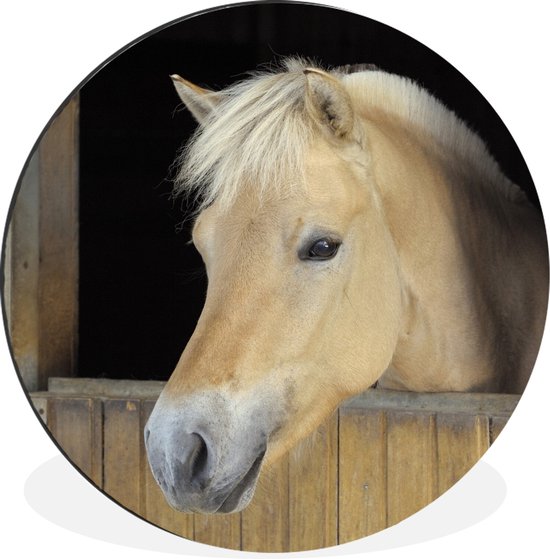 WallCircle - Wandcirkel - Muurcirkel - Fjord paard in een houten stal - Aluminium - Dibond - ⌀ 60 cm - Binnen en Buiten