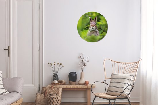 Wall Circle - Wall Circle Indoor - Lapin - Herbe - Vert - ⌀ 30 cm - Décoration murale - Peintures Ronds