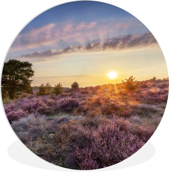 Wandcirkel - Muurcirkel Binnen - Heide bij zonsondergang - ⌀ - Wanddecoratie - Ronde Schilderijen