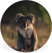 WallCircle - Wandcirkel ⌀ 140 - Koala - Zon - Dier - Kinderen - Jongens - Meisjes - Ronde schilderijen woonkamer - Wandbord rond - Muurdecoratie cirkel - Kamer decoratie binnen - Wanddecoratie muurcirkel - Woonaccessoires