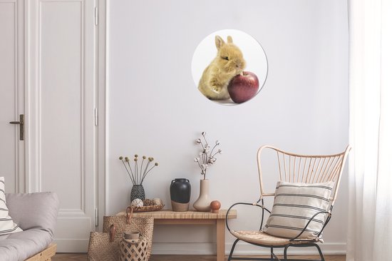 Cercle Mural - Cercle Mural Intérieur - Lapin - Bébé - Pomme - ⌀ 30 cm - Décoration murale - Peintures Ronds
