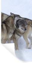 Stickers Stickers muraux - Loup - Europe - Neige - 40x80 cm - Feuille adhésive
