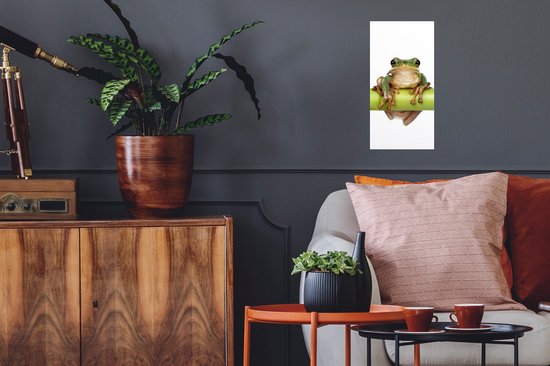 Stickers muraux - Feuille Autocollant - Grenouille - Bamboe - Wit - 20x40 cm - Film Adhésif - Stickers muraux Chambre Enfant - Papier Peint Auto Adhésif