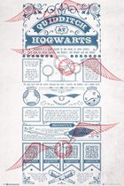 Gbeye Harry Potter Quidditch at Hogwarts  Poster - 61x91,5cm