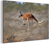 Un kangourou sautant Aluminium 90x60 cm - Tirage photo sur aluminium (décoration murale en métal)