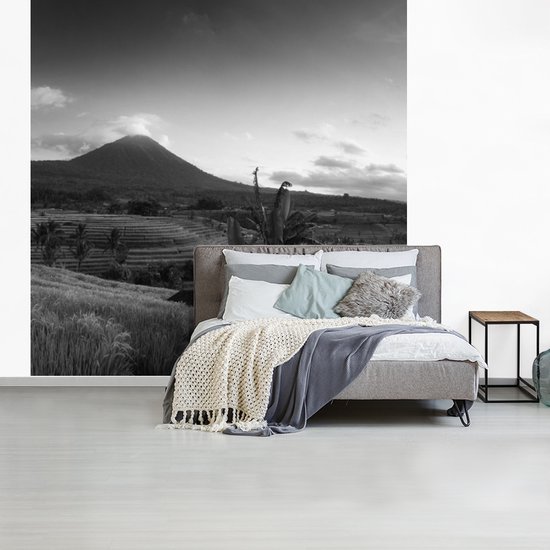 Papier peint - Papier peint Papier peint photo Rizières et volcans en Indonésie - noir et blanc - Largeur 220 cm x hauteur 220 cm