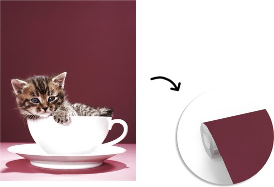 Papier peint photo vinyle - Un chaton dans une tasse avec une soucoupe largeur 190 cm x hauteur 260 cm - Tirage photo sur papier peint (disponible en 7 tailles)