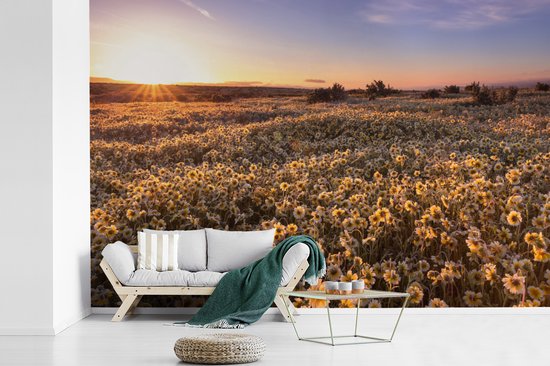 Champ de fleurs vallonné au crépuscule 330x220 cm