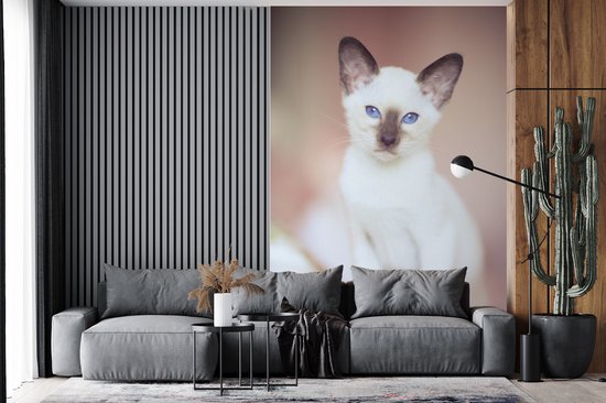 Behang - Fotobehang Witte Siamese kat op een tafelkleed - Breedte 180 cm x hoogte 280 cm