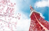 Zicht de communicatietoren van Tokio bij een kersenbloesem - Foto op Forex - 120 x 80 cm