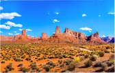 Een weg doorkruist de Mojavewoestijn nabij Las Vegas - Foto op Forex - 120 x 80 cm