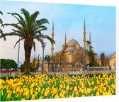 De Blauwe Moskee van Sultan Ahmed in Istanbul - Foto op Plexiglas - 60 x 40 cm