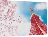 Zicht de communicatietoren van Tokio bij een kersenbloesem - Foto op Canvas - 150 x 100 cm