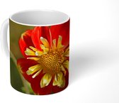 Mok - Een rode zinnia bloem - 350 ML - Beker