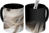 Magische Mok - Foto op Warmte Mok - Paard - Schimmel - Wit - 350 ML
