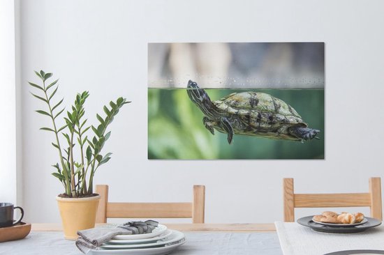 Photo en gros plan de toile de tortue 60x40 cm - Tirage photo sur toile peinture (Décoration murale salon / chambre) / Peintures sur toile Animaux