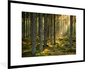 Fotolijst incl. Poster - Bos - Boom - Zon - 120x80 cm - Posterlijst