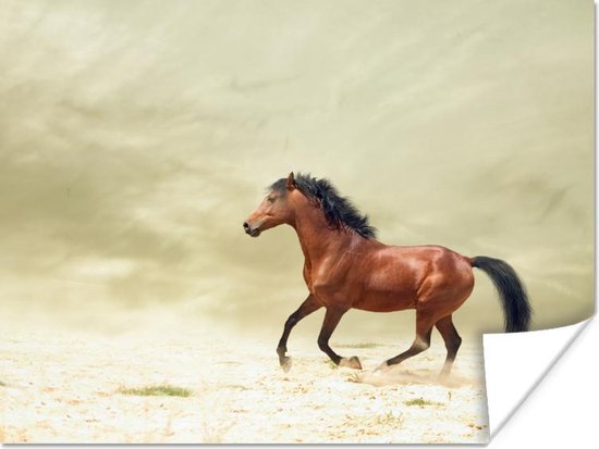 Poster Paard - Stof - Zand - 160x120 cm XXL