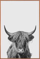 JUNIQE - Poster met kunststof lijst Highland Cow Classic -20x30 /Wit &