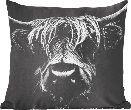 Highlander écossais - Cornes - Zwart - Wit