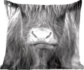 Coussins décoratifs - Oreillers Salon - 60x60 cm - Highlander écossais - Cheveux - Animaux
