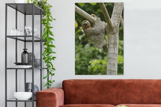 Tableau sur toile Un paresseux accroché à une branche - 90x140 cm - Décoration murale