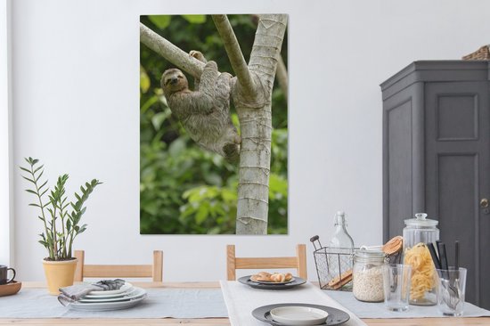 Tableau sur toile Un paresseux accroché à une branche - 90x140 cm - Décoration murale