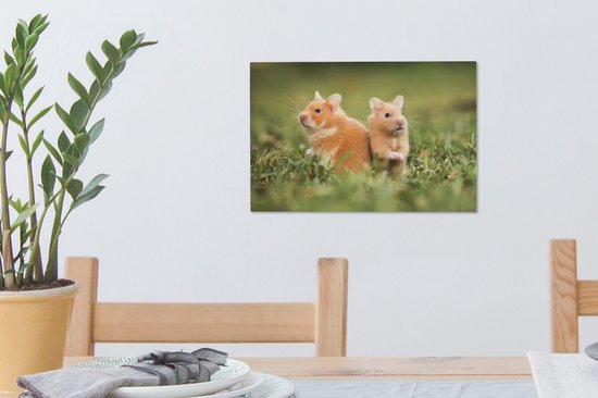 Tableau sur toile Hamsters dorés - 30x20 cm - Décoration murale