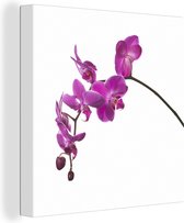 Tableau Tableau Orchidée sur fond blanc - 20x20 cm - Décoration murale