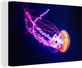 Tableau sur toile Une méduse lumineuse dans l'eau sombre - 60x40 cm - Décoration murale Art