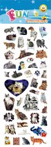 Fun Stickers - Leuke - Katten