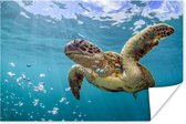 Affiche Une tortue de mer entourée de bulles - 60x40 cm - Décorations de Noël - Décoration de Noël pour l'intérieur - Noël
