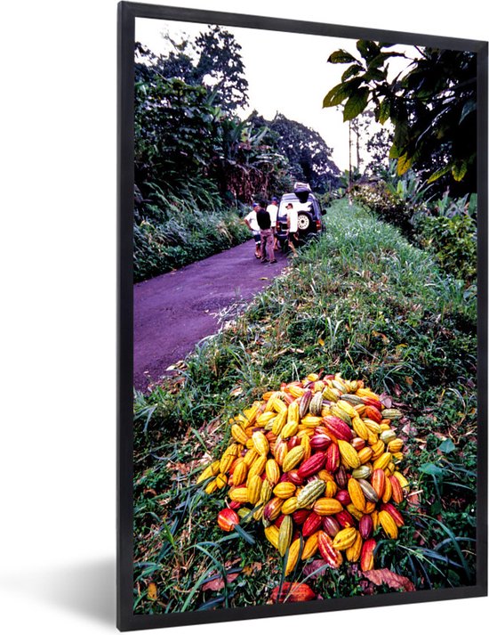 Fotolijst incl. Poster - Hoopje tropische en verse cacaobonen - 40x60 cm - Posterlijst