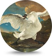 Maison de France - Dibond  Rond - bedreigde zwaan - wit dibond / rond - 100 cm
