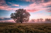 Mooie Zonsopkomst op Puzzel - Moeilijke Puzzel 1000 stukjes | Landschap - Natuur