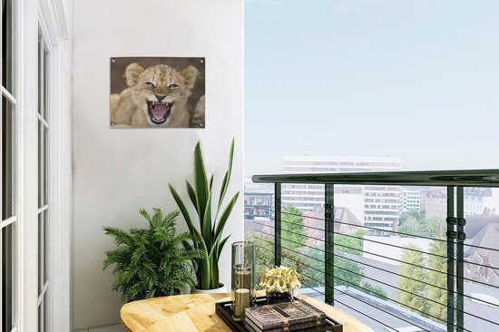 Décoration de Jardin Sauvage - Lion - Jeune - 40x30 cm - Toile de jardin