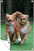Tuindecoratie Twee honden spelen met bal - 40x60 cm - Tuinposter - Tuindoek - Buitenposter