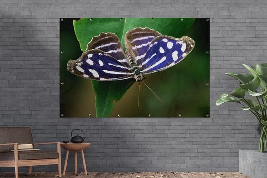 Blue Golf Butterfly Garden Poster 200x100 cm - Toile de jardin / Toile d'extérieur / Peintures d'extérieur (décoration de jardin) XXL / Groot format!