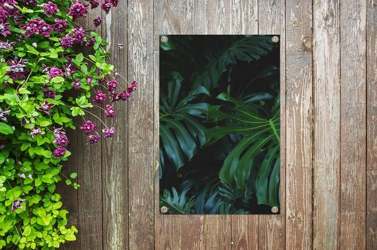 Posters de jardin Jungle - Vert - Feuilles - 60x90 cm - Toile de jardin