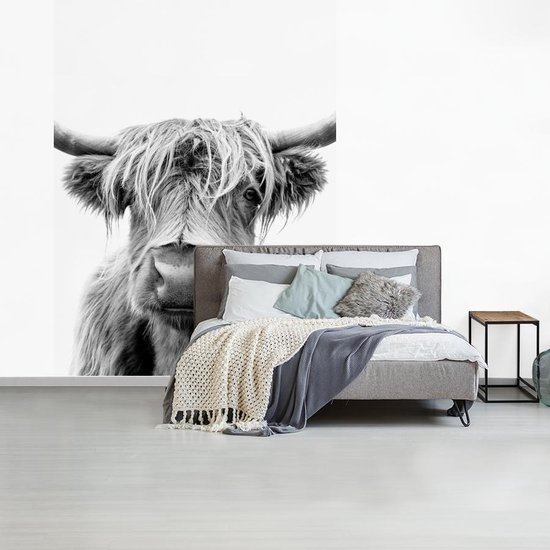 Papier peint - Papier peint photo Vache - Highlander écossais - Zwart - Wit - Largeur 190 cm x hauteur 260 cm